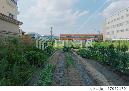 貸し農園 57072170