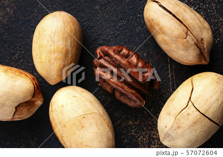 pecan 57072604