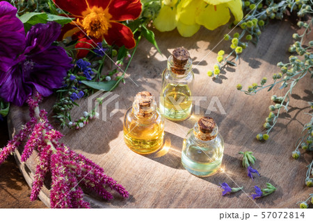 Essential oil bottles with hyssop, wormwood etc. Essential oil bottles with hyssop, wormwood etc. 57072814