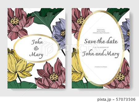 Vector Lotus floral botanical flowers. Black and white engraved ink art. Wedding background card 57073506