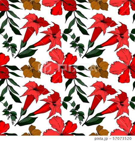 Vector Tropical flowers and leaves isolated. Black and white engraved ink art. Seamless background Vector Tropical flowers and leaves isolated. Black and white engraved ink art. Seamless background 57073520