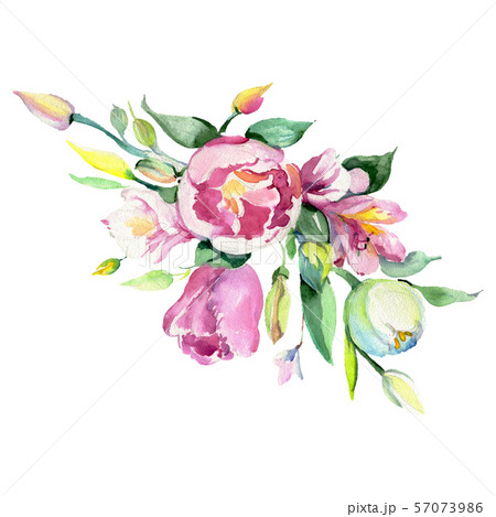 Tulip bouquet floral botanical flowers. Watercolor background set. Isolated bouquet illustration Tulip bouquet floral botanical flowers. Watercolor background set. Isolated bouquet illustration 57073986