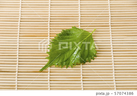 大葉 大葉 57074386