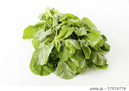 アマランサスの葉(葉野菜) アマランサスの葉(葉野菜) 57074778