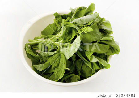 アマランサスの葉（葉野菜） 57074781