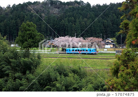 山里の春・19（岐阜県本巣市） 57074875