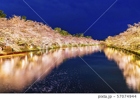 ライトアップされた「弘前城西濠」 春陽橋からの風景 ライトアップされた「弘前城西濠」 春陽橋からの風景 57074944