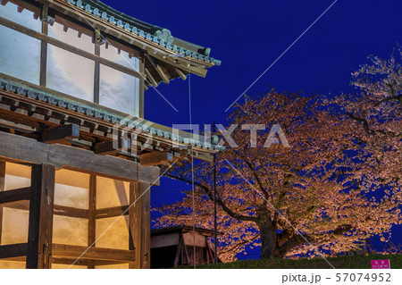 夜桜と弘前城 亀甲門 ライトアップ 夜桜と弘前城 亀甲門 ライトアップ 57074952