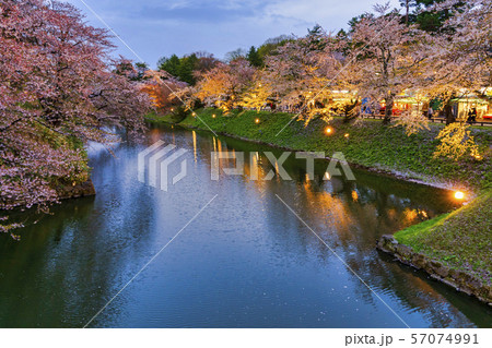 弘前城の桜 杉の大橋からの風景 ライトアップ 弘前城の桜 杉の大橋からの風景 ライトアップ 57074991