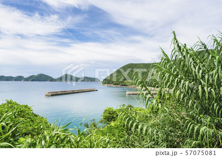 船崎海水浴場 57075081