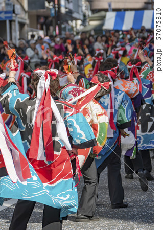 【よさこい祭 鳴子】 【よさこい祭 鳴子】 57075310