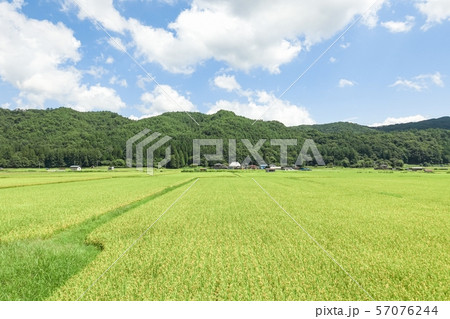 夏の農村風景 57076244