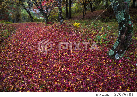 越畑ふるさと村の散紅葉 57076783