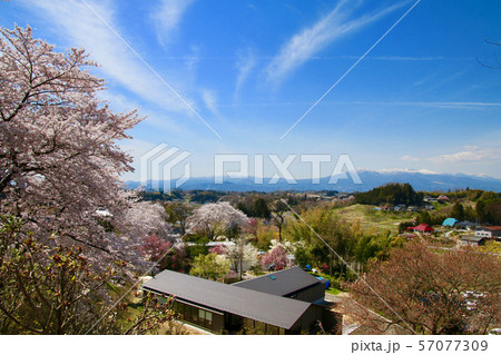 塩ノ崎大桜付近の桜（福島県・本宮市） 57077309