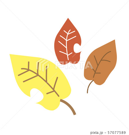 秋 紅葉 イラストのイラスト素材