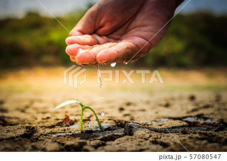Hand watering the ground barren 57080547