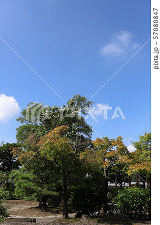 椎の木屋敷跡　於大の方 57080847