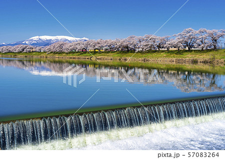青空と一目千本桜　宮城大河原 57083264