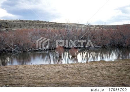 Godley River,Gammck,Souh Island,New Zealand 57083700