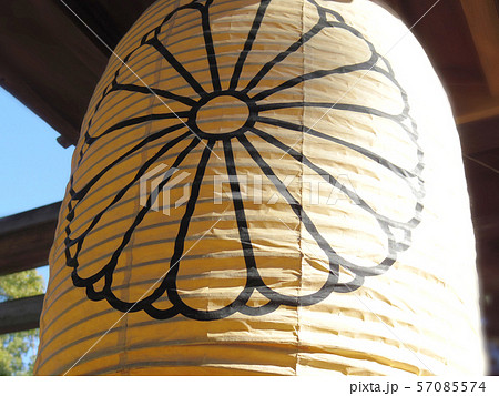 明治神宮 菊の御紋の写真素材 [57085574] - PIXTA