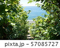茨のトンネルの向こうの砂浜と海 57085727