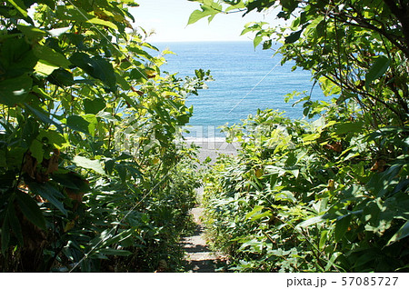 茨のトンネルの向こうの砂浜と海 57085727