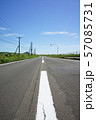 国道228号線の中央分離帯 57085731
