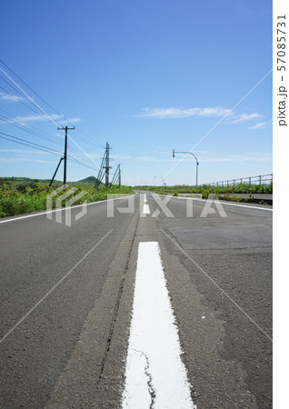 国道228号線の中央分離帯 国道228号線の中央分離帯 57085731