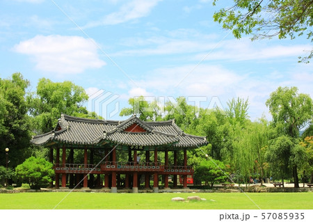 風景 精子 夏 57085935