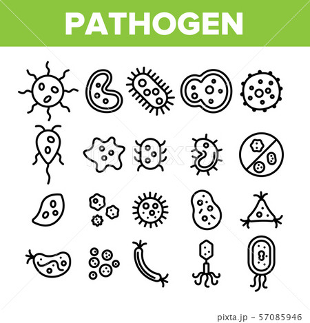 Collection Pathogen Elements Vector Sign Icons Set 57085946