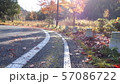 晴れの日、秋の道 57086722