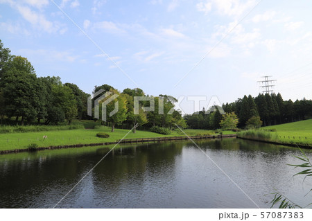 科学万博記念公園　　　茨城県 57087383