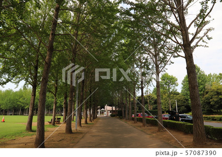 科学万博記念公園 茨城県 科学万博記念公園 茨城県 57087390