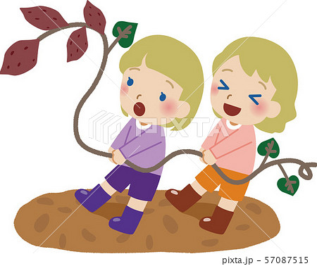 芋ほりのイラスト4のイラスト素材