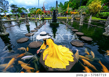 Tirta Gangga Water Palace in Bali, Indonesia. Tirta Gangga Water Palace in Bali, Indonesia. 57087719