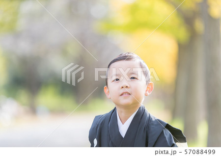 Hakamagi 57088499