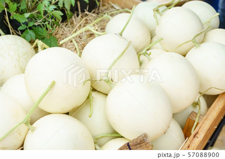 Fresh organic cantaloupe melons on wooden crate for sale on a market 57088900