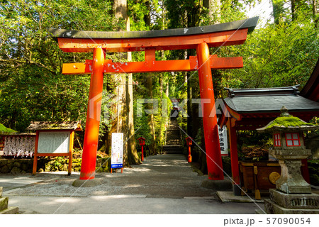 箱根神社 57090054