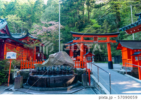 九頭龍神社 新宮 九頭龍神社 新宮 57090059