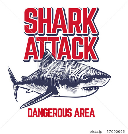 Wild Attacking Shark Scary Jaws Of Shark のイラスト素材