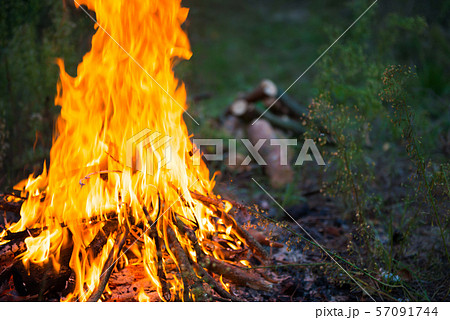 Bonfire in the forest 57091744