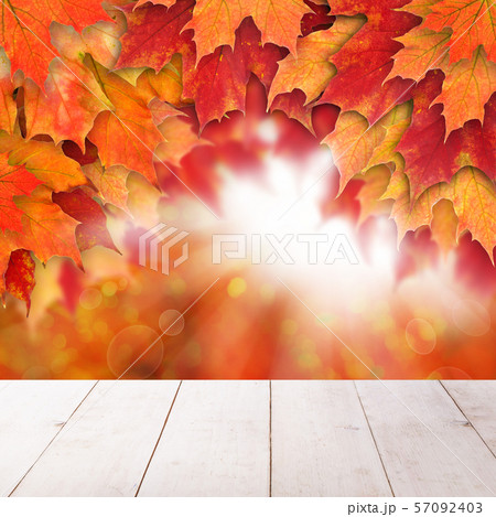 Fall background with red autumn maple leaves Fall background with red autumn maple leaves 57092403