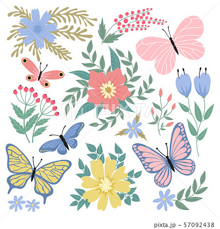 Butterflies and flowers. Hand drawn vector summer and spring collection 57092438