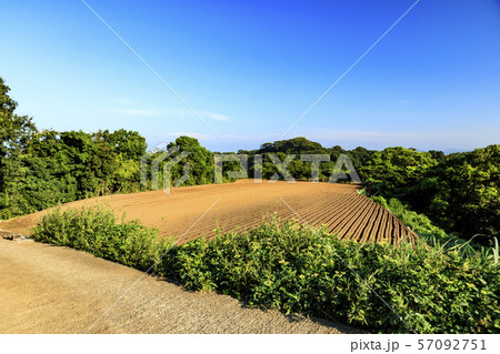 畑(秋) 畑(秋) 57092751