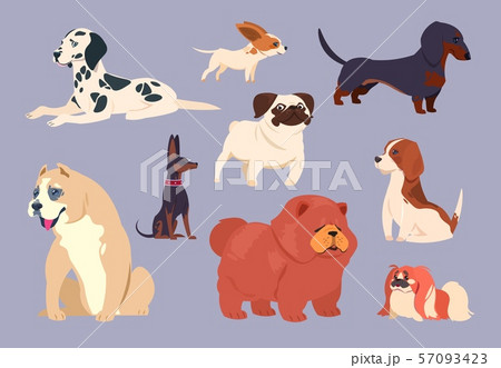 Cartoon dogs. Puppy pet different breeds. Chow chow, dachshund and dalmatian, pit bull and pekingese 57093423