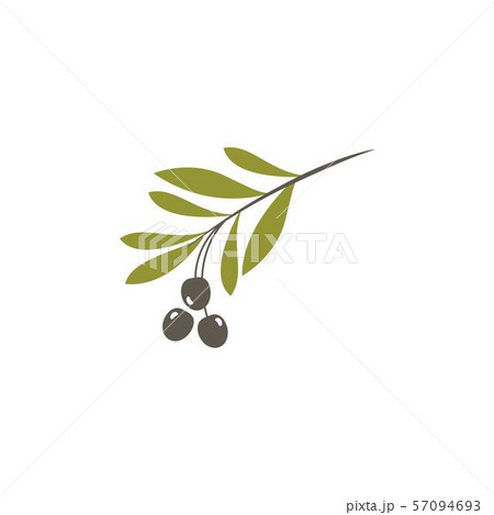 olive icon vector illustration 57094693