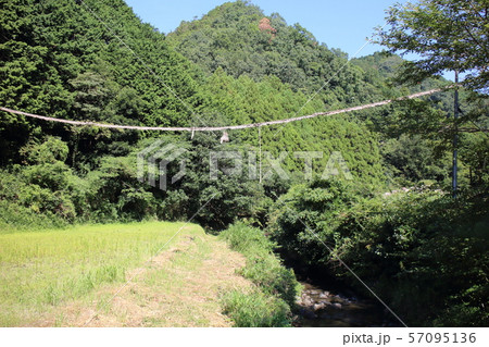 奥明日香 奥明日香 57095136