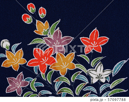 織物　布地　正絹　ファブリック 57097788