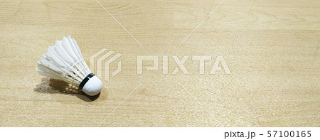 Old badminton shuttlecock on the floor. 57100165