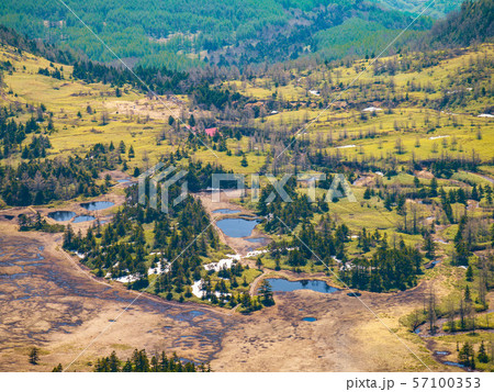 芳ヶ平湿原 芳ヶ平湿原 57100353